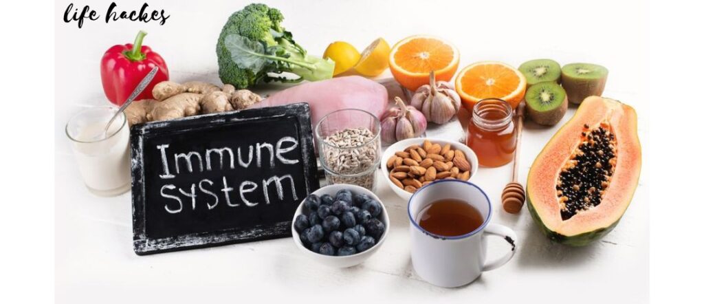 Guide on Best Natural Immune Booster for Adults